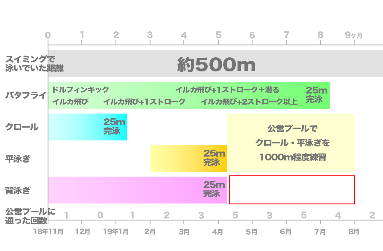 背泳ぎを泳げるようになるまで イラスト 図表 年表