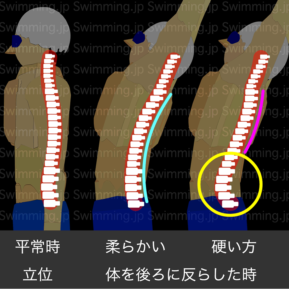 バタフライのイラスト ストレッチ 胸椎が硬いと腰に負担が集中する