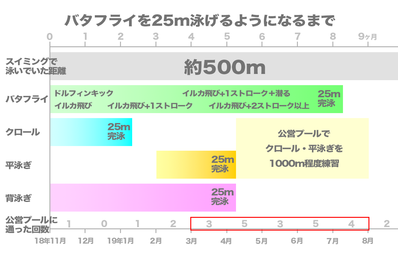 バタフライを泳げるようになるまで イラスト 図表 年表