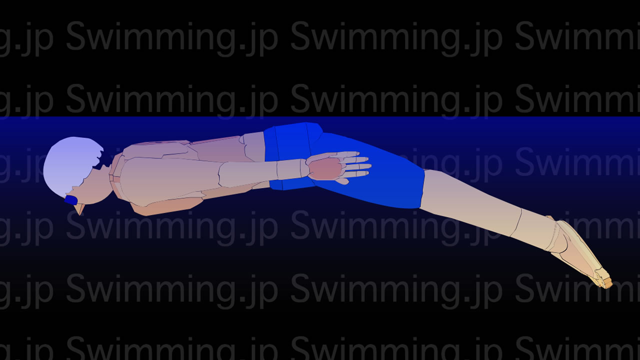 バタフライ ドルフィンキックの泳ぎ方 初級者向け Swimming Jp バタフライ ドルフィンキックの泳ぎ方 初級者向け Swimming Jp