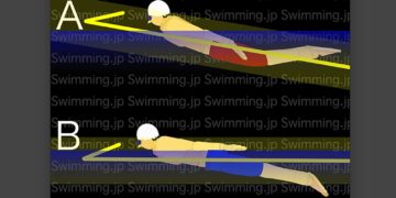 水泳 バタフライ トップスイマーと中級者の泳ぎ方の違い