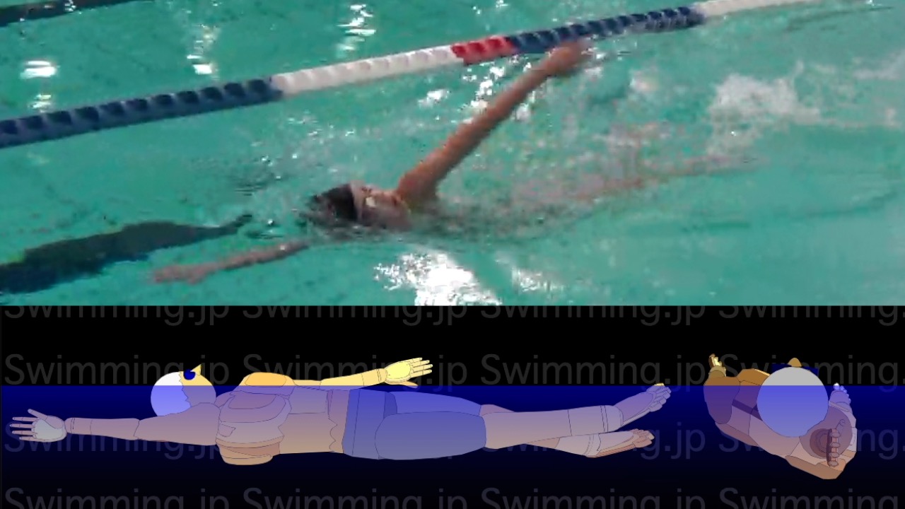 クロール 楽に泳ぐための息継ぎの形とは 初級者向け Swimming Jp クロール 楽に泳ぐための息継ぎの形とは 初級者向け Swimming Jp