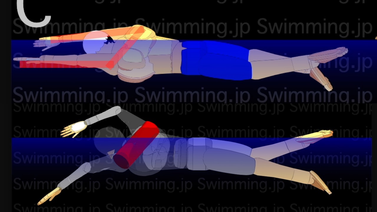 クロール キャッチアップの種類と練習方法 Swimming Jp クロール キャッチアップの種類と練習方法 Swimming Jp