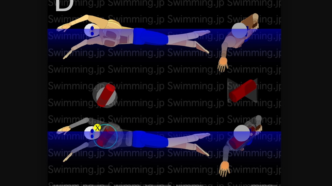 クロール キャッチアップはなぜ必要 ストロークの効率を考える Swimming Jp クロール キャッチアップはなぜ必要 ストロークの効率を考える Swimming Jp