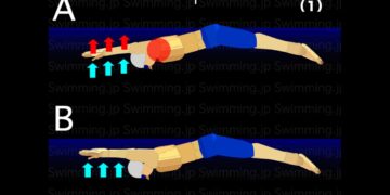 水泳 バタフライ 2年半継続のストレッチ効果と気付きについて