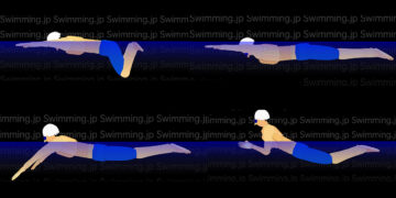 平泳ぎ 世界チャンピオンの泳ぎから見る初級者・中級者の泳ぎ方